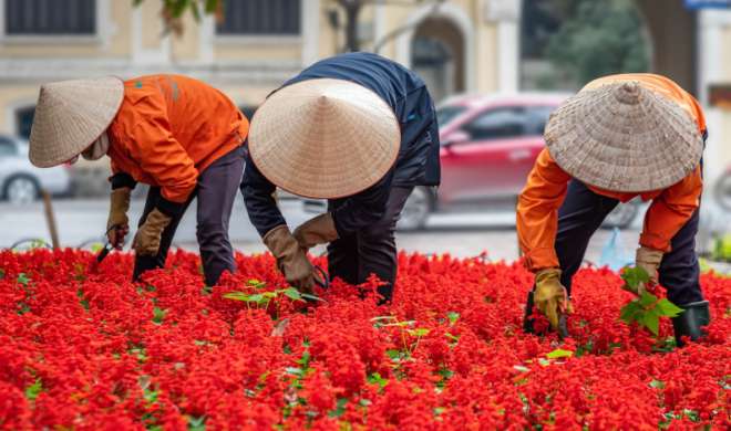 Vietnam